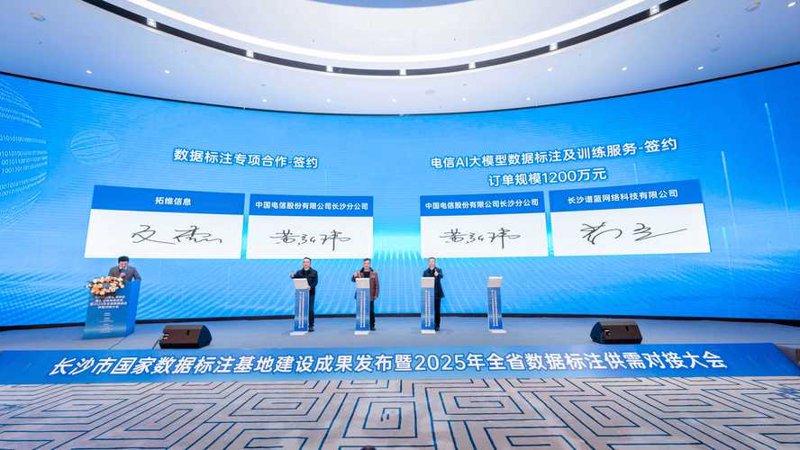 长沙数据服务：洞见未来的钥匙