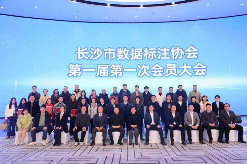 洞察未来趋势：数据分析在商业决策中的应用